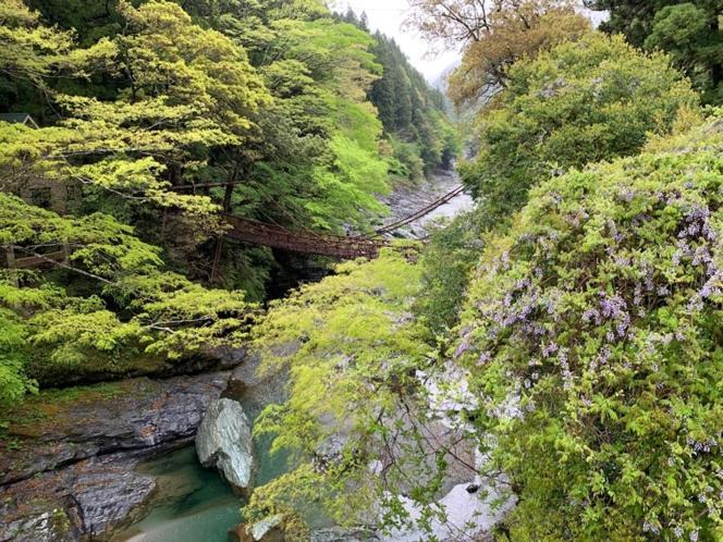 Iya Kankou Ryokan Miyoshi  Exterior foto